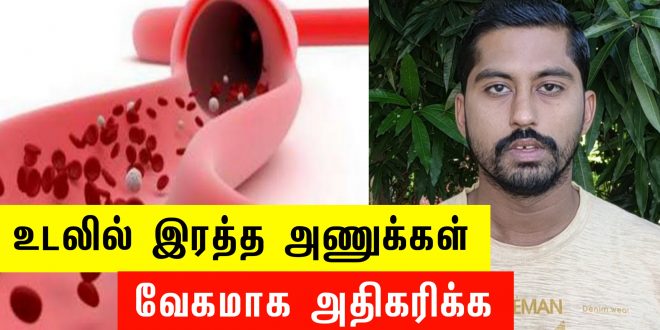 வெள்ளை மற்றும் சிவப்பு ரத்த அணுக்களை உடம்பில் வேகமாக அதிகரிக்க